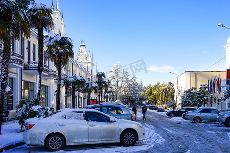 有汽车、棕榈树和雪的城市街道。