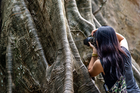 泰国乌泰他尼省 Ban Sanam 的年轻女子背着单肩包，用相机拍照巨树，人与巨树的大小比较。