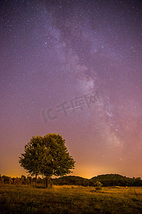 夜晚孤独摄影照片_夜晚和星星景观：夜晚清澈的银河，孤独的田野和树木