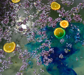 淡紫色的花和橙片漂浮在大海上