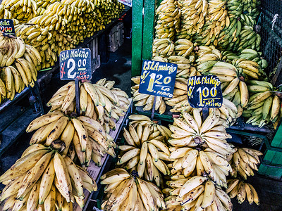 水果商店摄影照片_市场上出售的香蕉带有标明所售香蕉类型的标志：