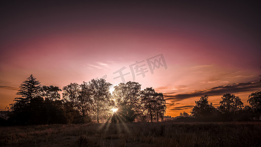 斗破苍穹摄影照片_清晨，树间深紫色的日出