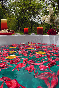 浴缸背景摄影照片_室外浴缸中红牡丹花和橙片的抽象背景