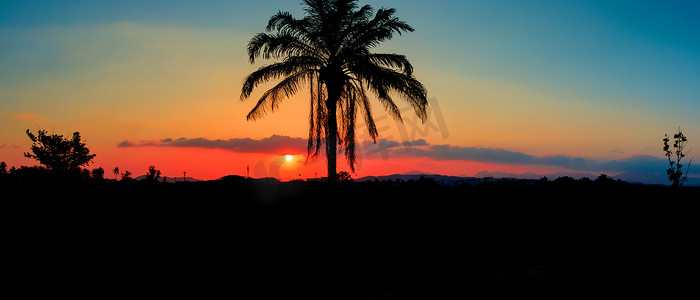 动态背景城市摄影照片_全景视图剪影椰子树在日落在天空美丽的五颜六色的风景和城市乡村黄昏时间的自然艺术