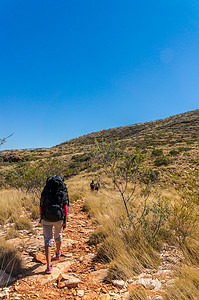 爱丽丝兔摄影照片_徒步旅行者前往澳大利亚中部爱丽丝泉外的桑德山山顶，西麦克唐纳国家公园，澳大利亚
