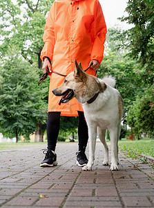 穿着橙色雨衣的年轻女子和她的狗在公园里散步