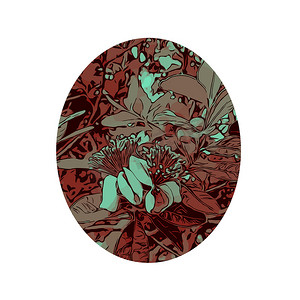 feijoa 或 Acca sellowiana 的果实花彩色线条艺术椭圆形