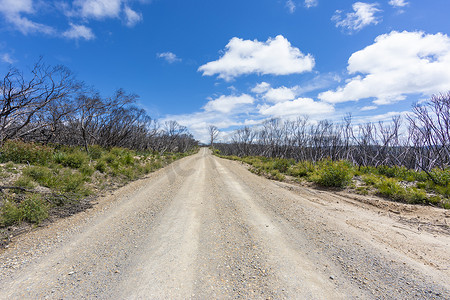 双十一火拼摄影照片_澳大利亚地区 Kanangra-Boyd 国家公园的一条长干土路
