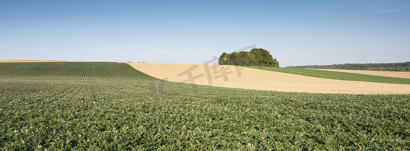 法国北部蓝天下农田景观的典型近乎抽象模式