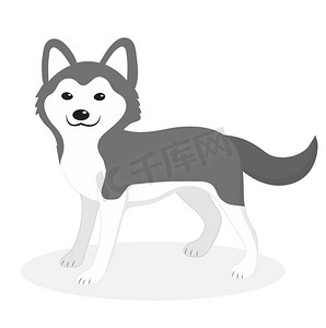 卡通狼摄影照片_哈士奇犬图标，扁平，卡通风格。