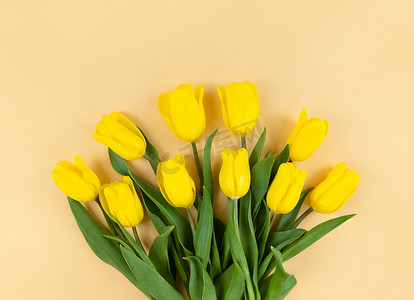 米色背景上的黄色郁金香花束。