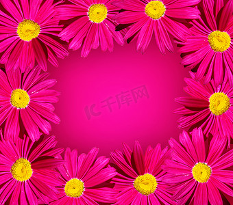 黄色背景框摄影照片_明亮的粉红色花框