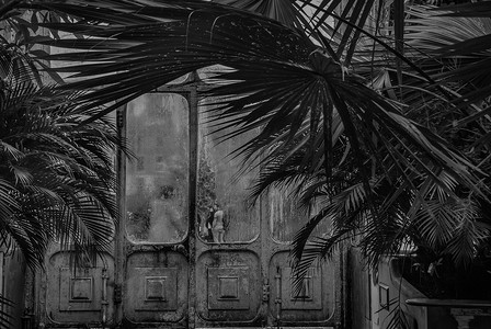 邱园摄影照片_邱园棕榈屋美丽的出口门（皇家植物园）