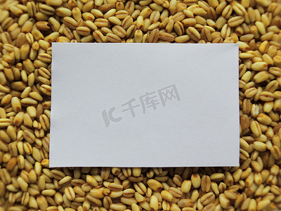 生麦背景堆上白色标签的特写