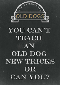 你不能教一只老狗手写在 Chalkbo 上的新技巧