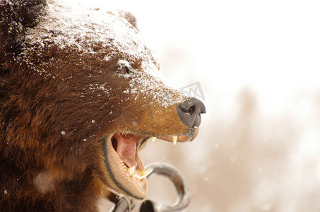 降雪时，城市街道上一只张着嘴巴的棕熊填充物