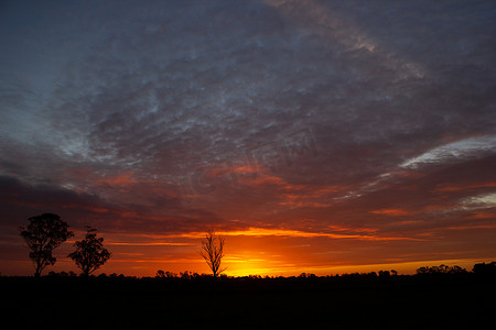 漂泊一生摄影照片_一生一次在澳大利亚的日落与树木的轮廓，科布拉姆，维多利亚
