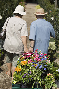 合作进取摄影照片_老年夫妇走在苗圃里拉着花车后视