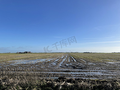 冬天的农田摄影照片_Ferwoude 周围潮湿的农田