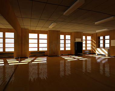 舞厅大而闪亮的镶木地板表面仅由