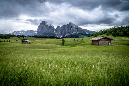 多洛米蒂山脉的 Seiser Alm 绿色草地 - 意大利