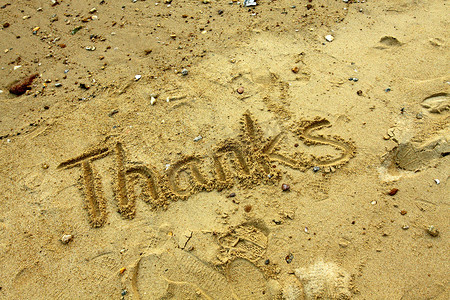 谢谢在沙子的词