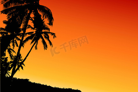 佛罗里达州的剪贴画摄影照片_棕榈树