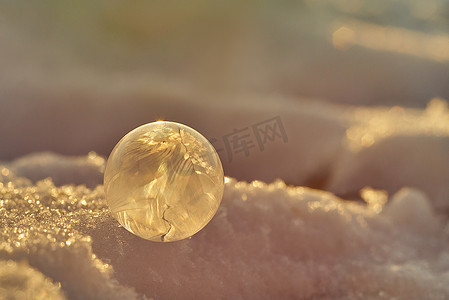 冬日太阳摄影照片_冬日雪地上的小冰冻泡泡