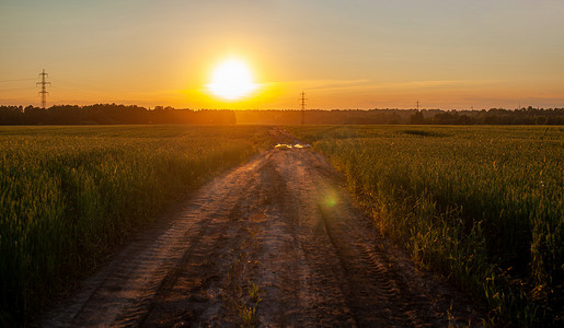 麦田中间的一条路通向太阳，日落。