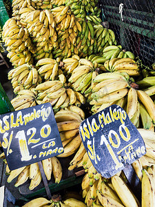 标明摄影照片_市场上出售的香蕉带有标明所售香蕉类型的标志：
