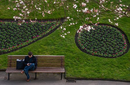 一个男人坐在绿色公园的木凳上按手机。