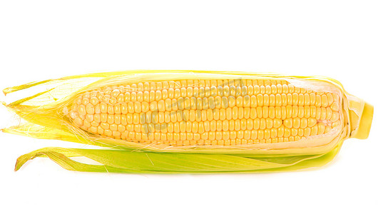 绿叶玉米摄影照片_白色背景中带绿叶的生玉米