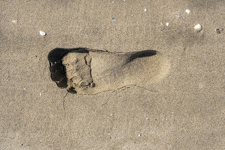 沙滩上的单脚印