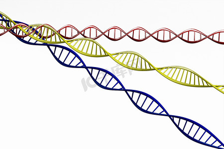 3d细胞模型摄影照片_3d 渲染，扭曲的 DNA 链模型分离。