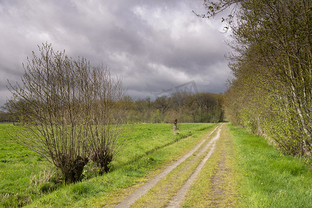 Henschoten 庄园道路上方的厚云