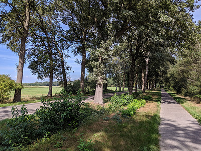 行车道摄影照片_Overijssel IJhorst 周围的自行车道