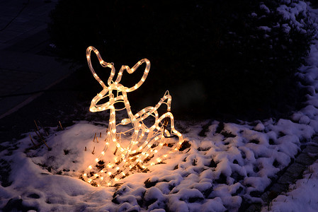 可爱的圣诞鹿摄影照片_点燃的圣诞驯鹿
