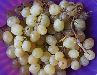 白葡萄水果食品