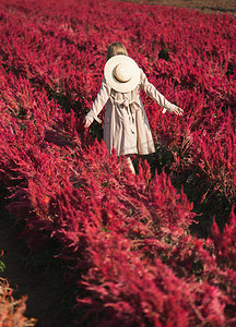 身穿风衣、头戴草帽的女子背影走在红花田中。