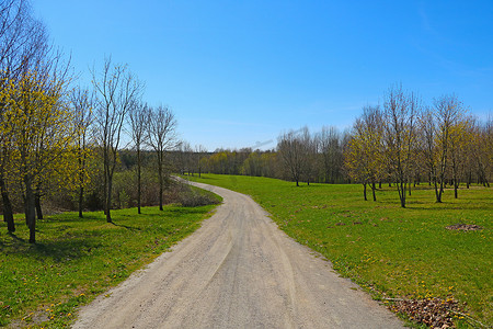 一条乡间小路的景色，两旁种着树木和绿草。
