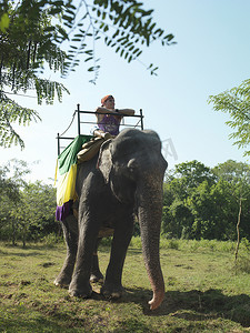 骑着大象的年轻女子倾斜着看风景