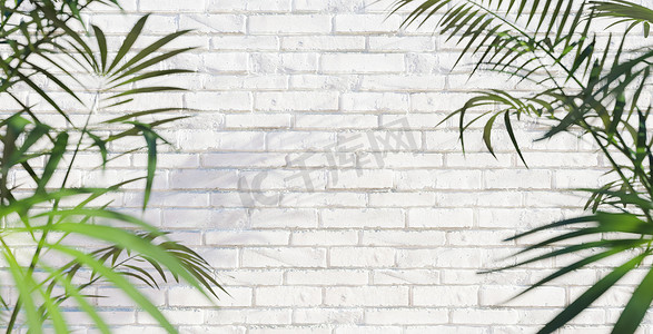 有棕榈叶的白色砖墙