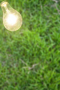 明亮的居家摄影照片_灯泡有绿草背景。