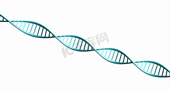 扭曲的 DNA 链的孤立 3d 渲染模型。