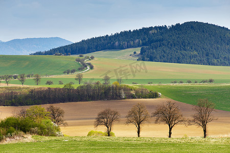 斯洛伐克的绿色春山。