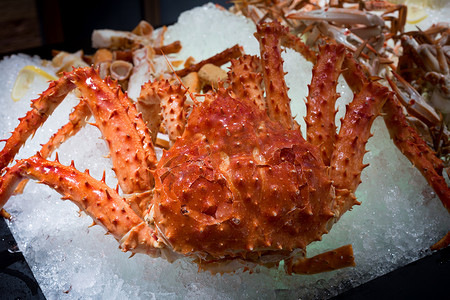海鲜简笔画摄影照片_阿拉斯加帝王蟹和海鲜的特写