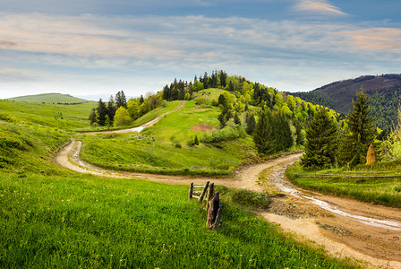 日出时在山的山坡草地上过马路