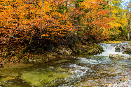 秋季 Foliage 山 河流