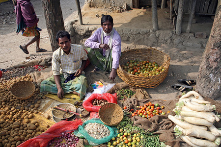 西孟加拉邦 Kumrokhali 的部落村民为蔬菜讨价还价