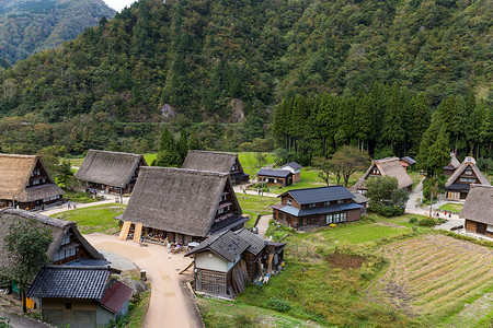 森林中的传统日本老村